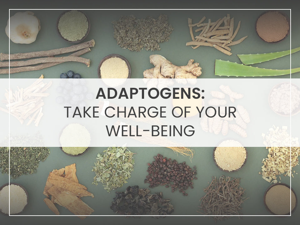 Adaptogens: Take Charge Of Your Well-Being